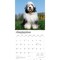 Old English Sheepdogs | 2026 12 x 24 Inch (Hanging) Monthly Square Wall Calendar | Plastic-Free
